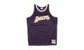 NBA Checked Swingman Jersey "Los Angeles Lakers - Purple / Black" BA8A46 LAL L MYS