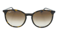 Square Sunglasses "Havana" RB2204F-902-51_54
