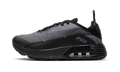Air Max 2090 PS "Black Wolf Grey" CU2093 001