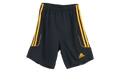 Squadra 13 Shorts GS "Dark Grey / Gold" S22591