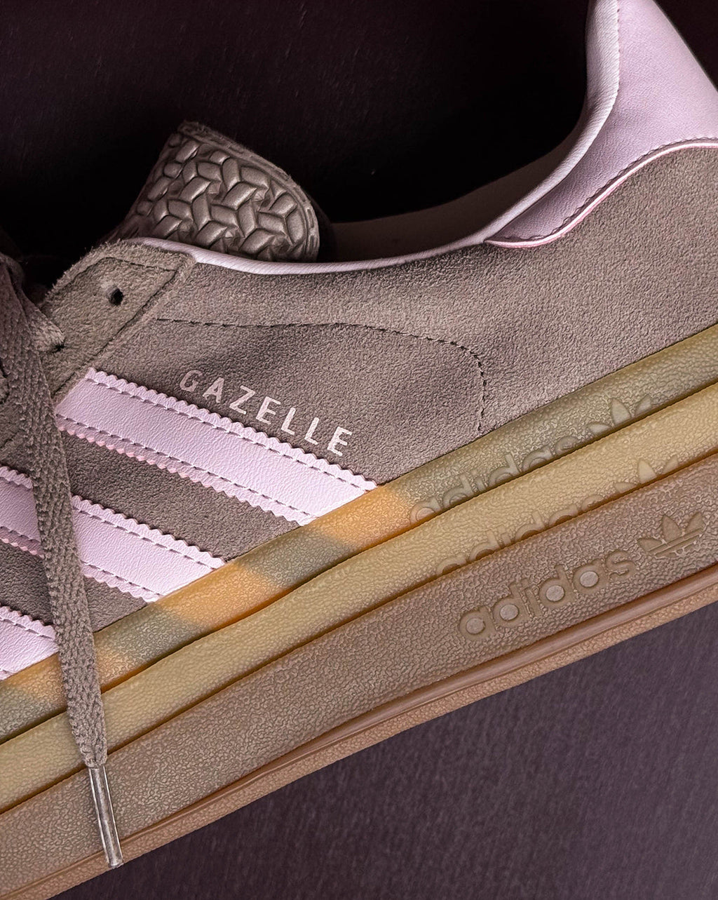Gazelle Bold W