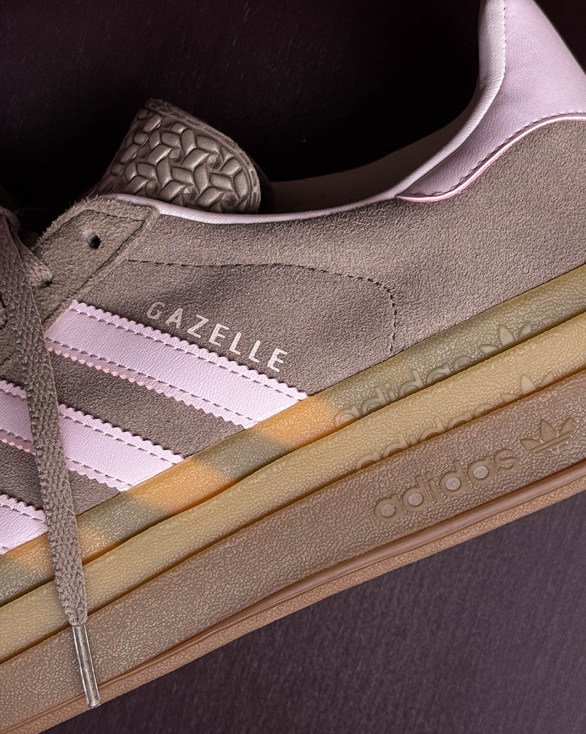 Gazelle Bold W