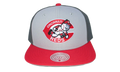 MLB Triple Play Cooperstown "Reds" HY11519-CREGREY_OS