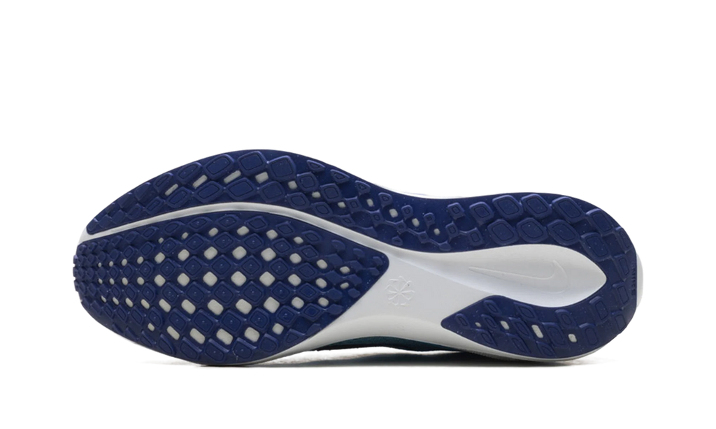 Air Zoom Pegasus 41 "Ghost Blue Void" FD2722 014