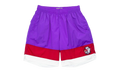 NBA Striped Short "Toronto Raptors - Purple" SHORBW19051 TRAPTPR