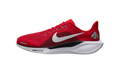 Air Zoom Pegasus 41 "Ohio State" IB3254-600