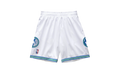 NBA Swingman Shorts "1995 Minnesota Timberwolves - White" SMSHSB19045 MTIWHIT95
