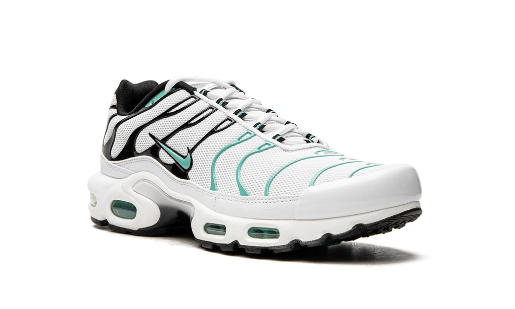Air Max Plus "Atmos" 604133 148