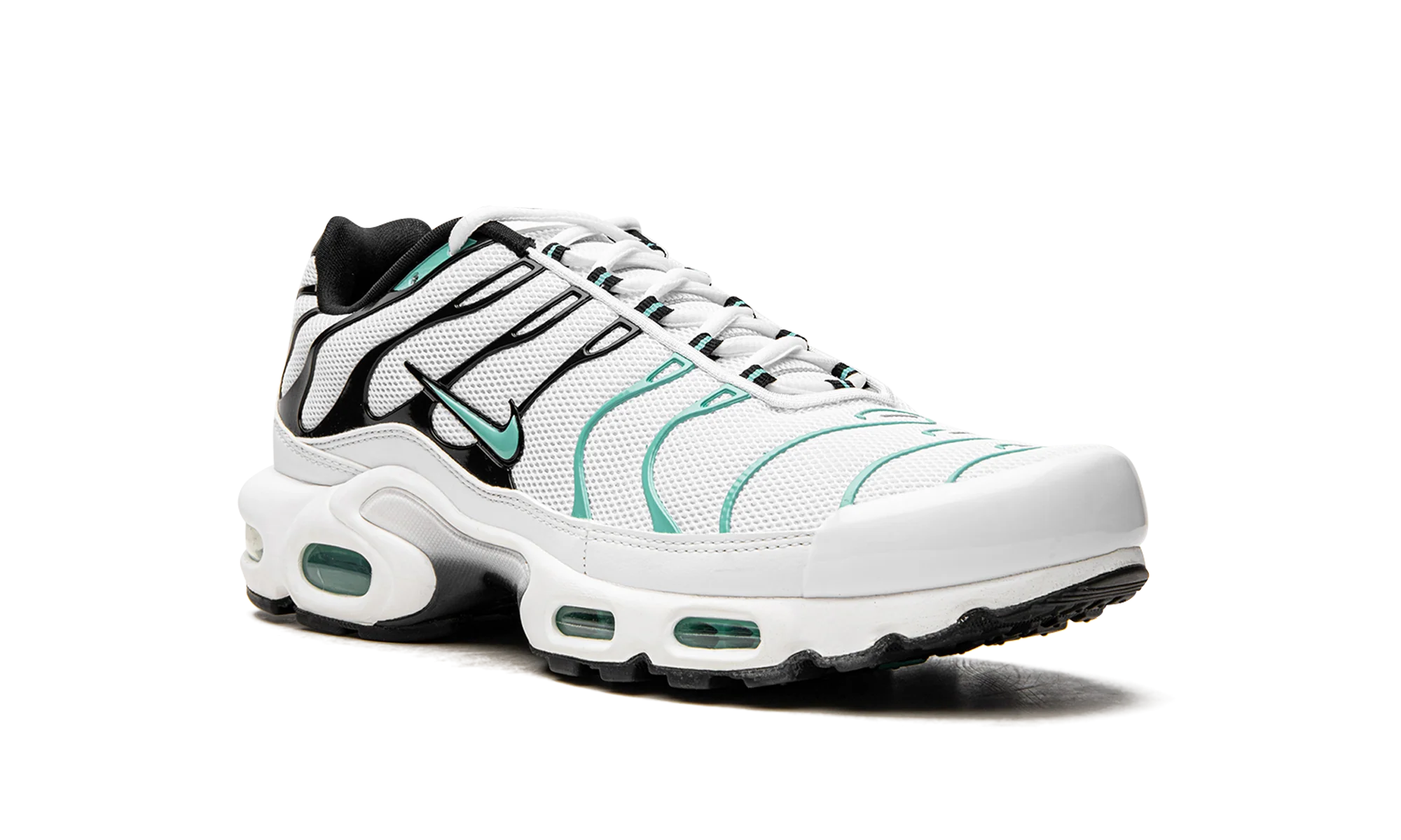 Air Max Plus "Atmos" 604133 148
