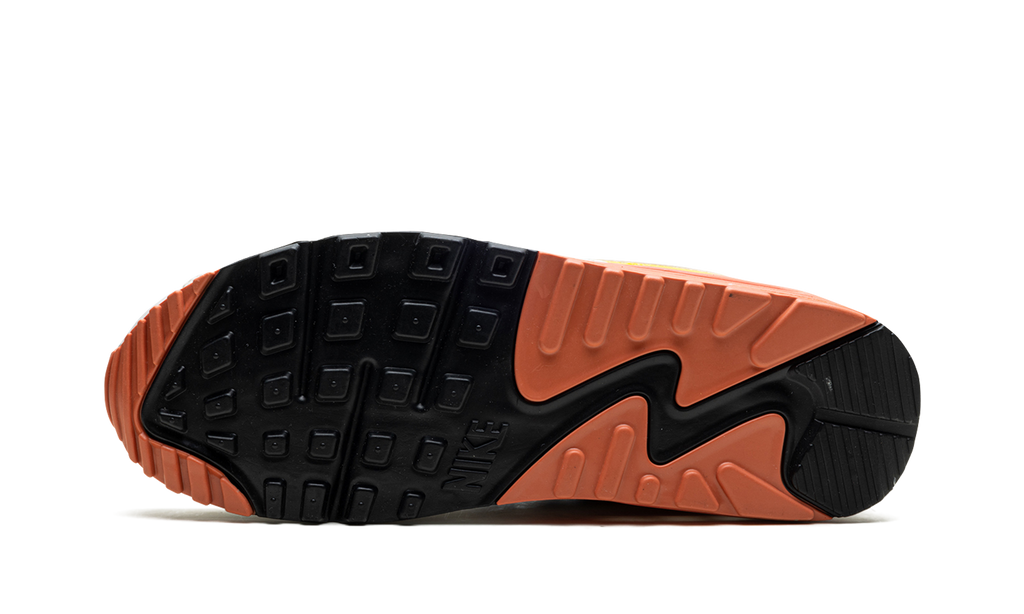 AIR MAX 90 MNS WMNS DJ9991 100