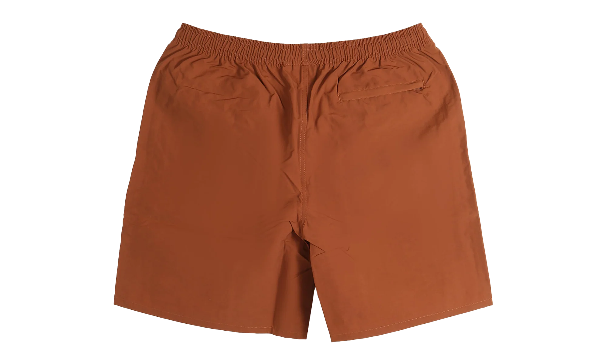 Water Big Basic Short "TORT TORTOISE" 113156N TORT