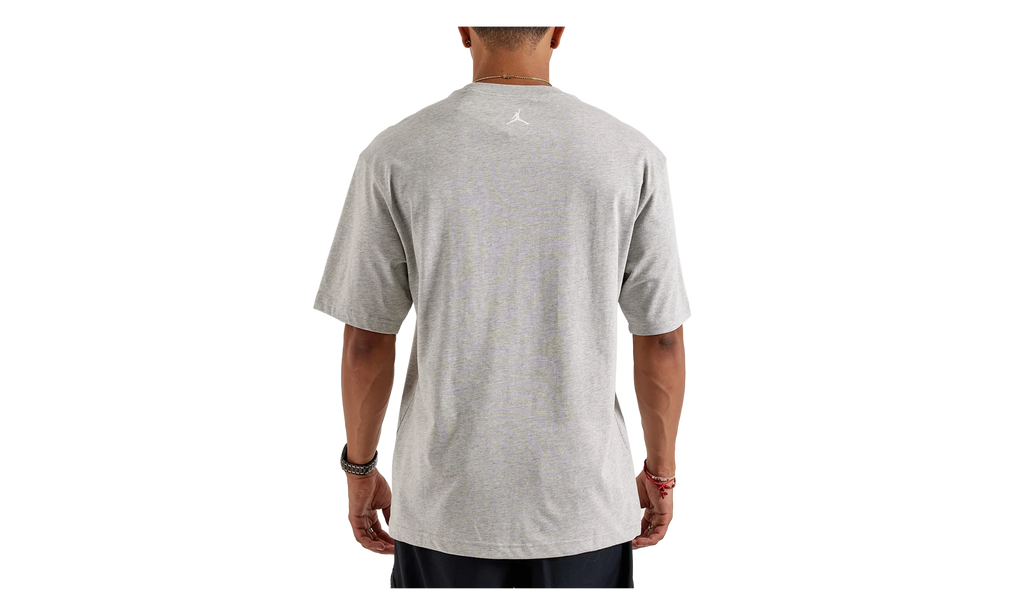 Air Jordan Wingspan Photo T-Shirt "Grey" IF5617 050