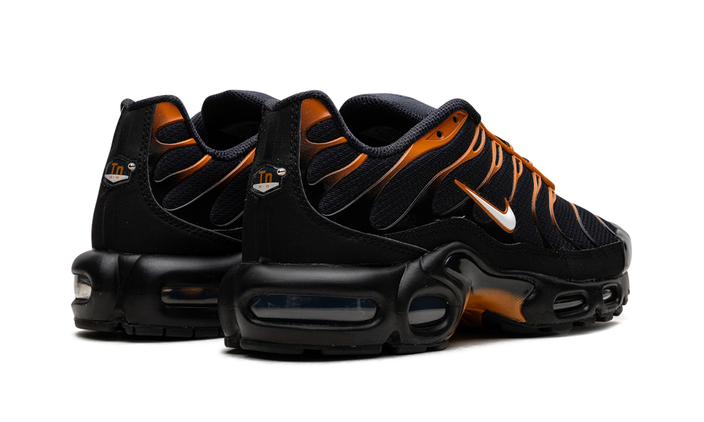 Air Max Plus "OBSIDIAN MONARCH" FN6949 400