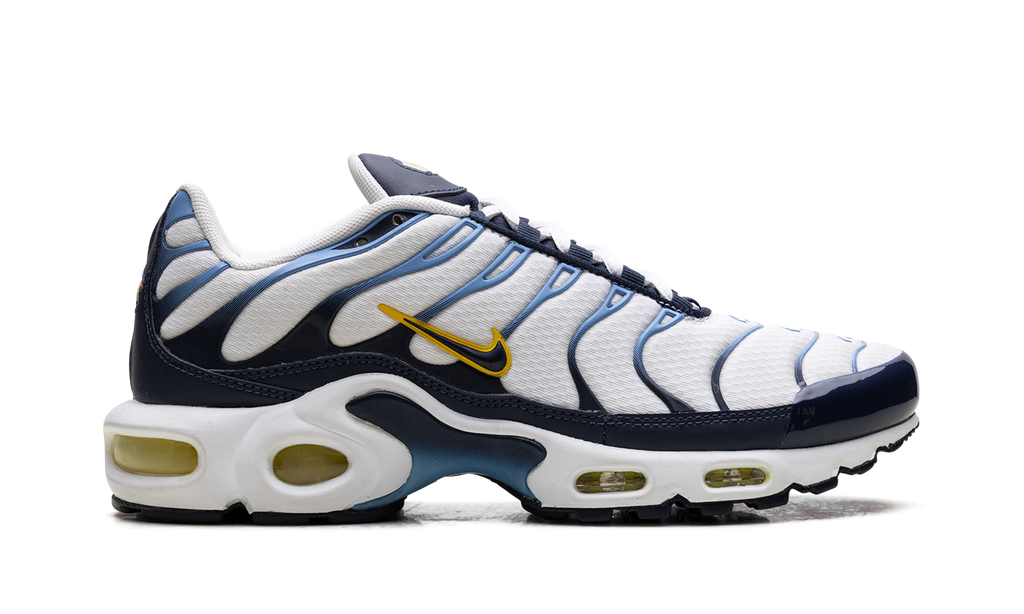 Air Max Plus CT1094 100