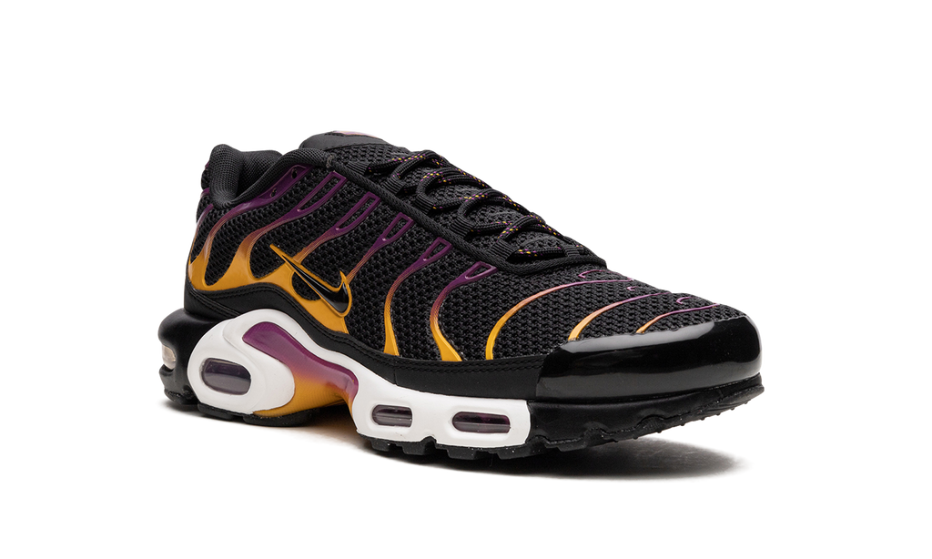 Air Max Plus DX2663 001