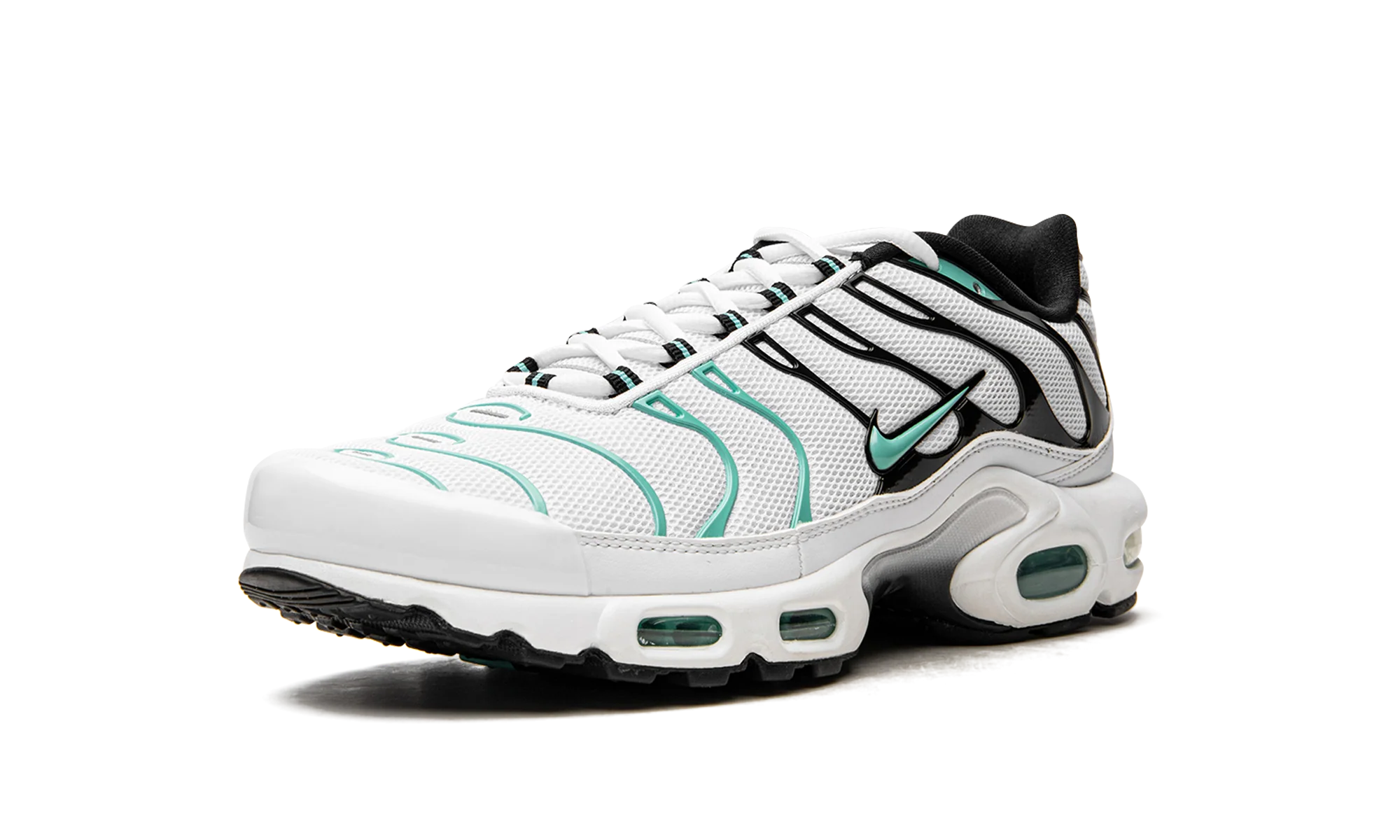 Air Max Plus "Atmos" 604133 148