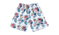 NBA Floral Mesh Shorts "Chicago Bulls - White" SHORMG18023 CBUPTWH1