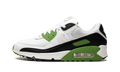 Air Max 90 "Chlorophyll" CT4352 102