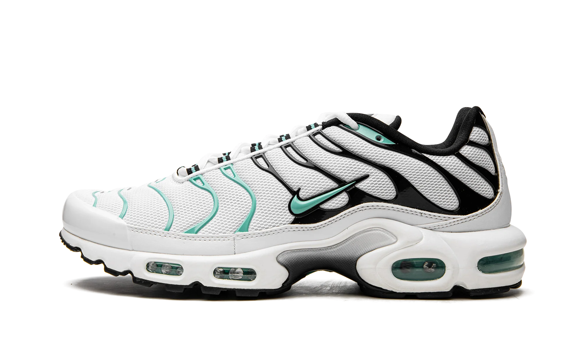 Air Max Plus "Atmos" 604133 148