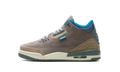 Air Jordan 3 GS "We Outside" IB7066 001