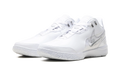 Zoom Lebron NXXT GEN AMPD "White Light Smoke Grey" FJ1566 102