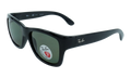 Wayfayer Polarized Sunglasses "Black" RB4194-601-9A_53