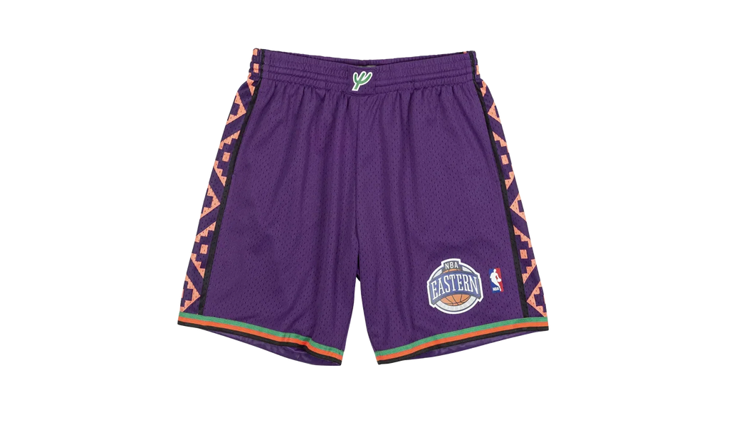 NBA Swingman Shorts "1995 All-Star East - Purple" SMSHCP19220 ASEPURP95