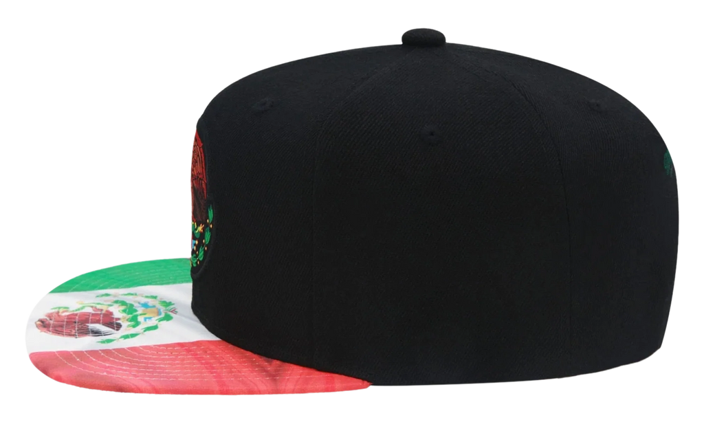 Branded Flag 2 Tone Snapback Cap "Mexican Flag - Black / Green" 6HSSTD17412 MNNBKGN