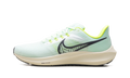 Air Zoom Pegasus 39 "Green" DH4071-301