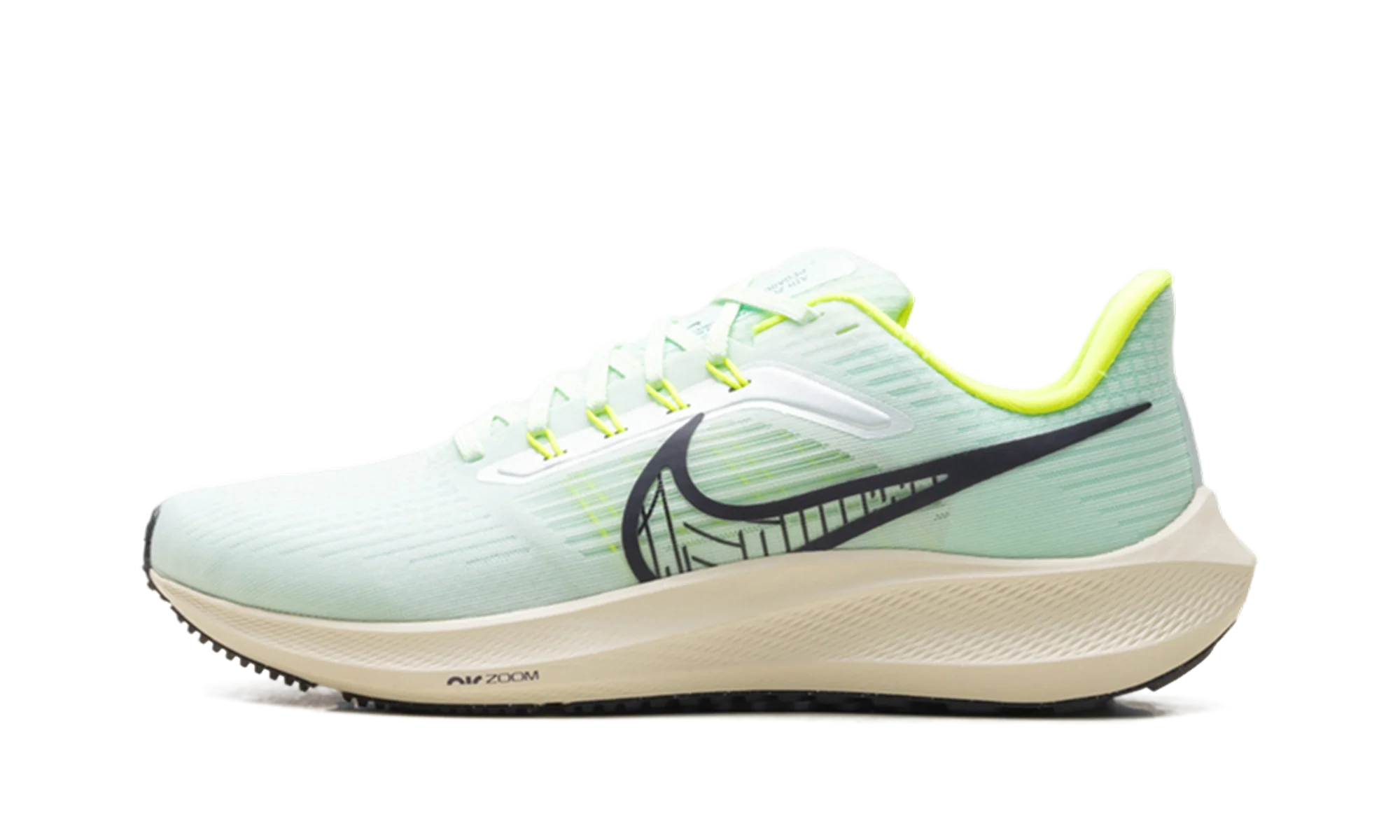 Air Zoom Pegasus 39 "Green" DH4071-301