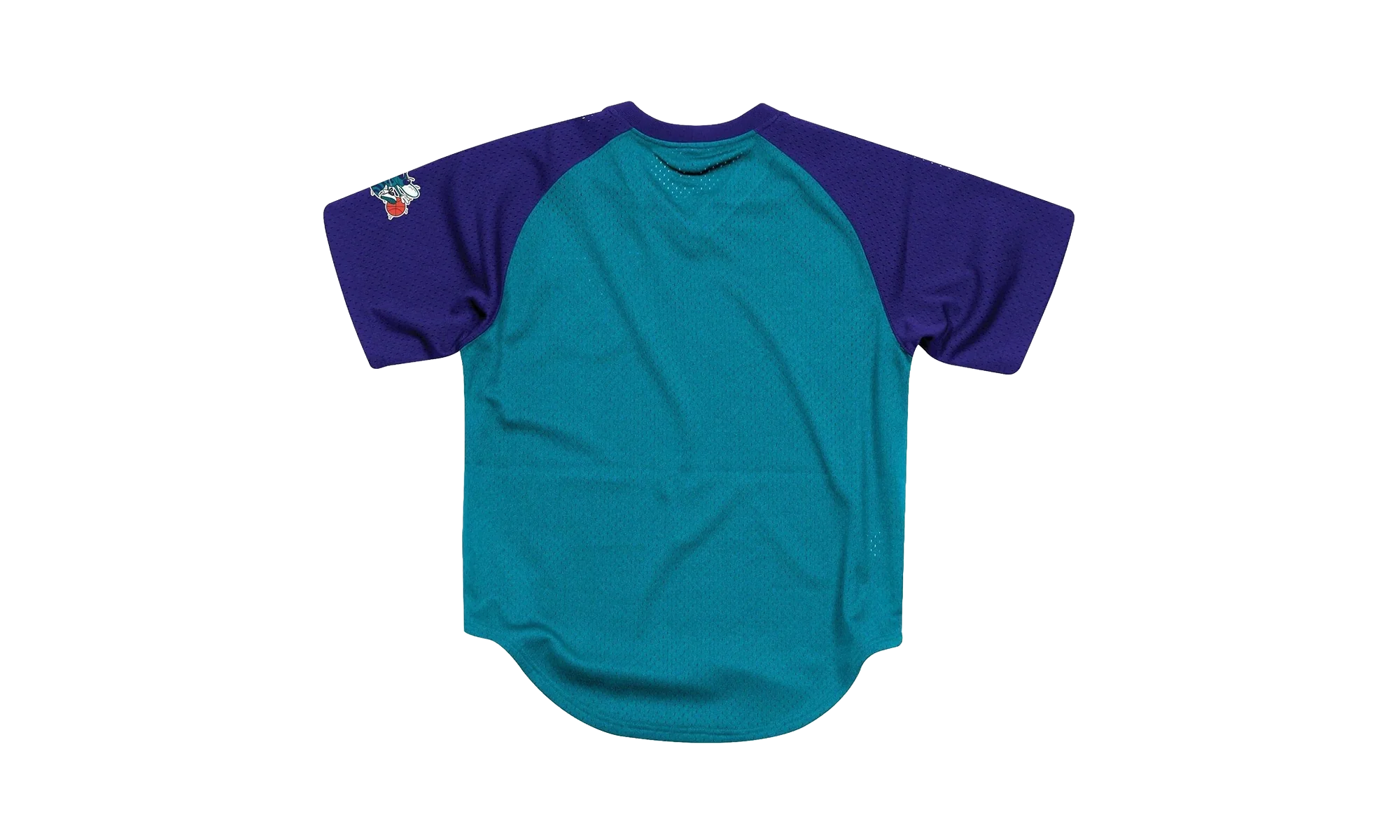 NBA Final Seconds Mesh V-Neck Shirt "Charlotte Hornets - Teal" BA87OQ CHO T JXT