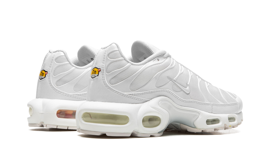 AIR MAX PLUS WMNS"Pure Platinum" DM2362 100
