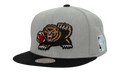 NBA Hardwood Classics Melt Stitch Snapback Cap "Vancouver Grizzlies - Grey" HS8959 VGRGREY