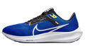 Air Zoom Pegasus 40 "Racer Blue" DV3853 401