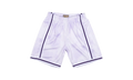 NBA Cloudy Skies Swingman Shorts "1996 Los Angeles Lakers - Light Purple" SMSHBW19062 LALLTPR96