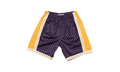 NBA Checked Swingman Shorts "Los Angeles Lakers - Purple" BA3A4I LAL L N0B