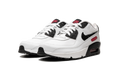 Air Max 90 LTR SE 2 "Very Berry" DH2605 100