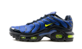 Air Max Plus (GS) CD0609 401