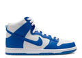 Dunk High Pro ISO Kentucky