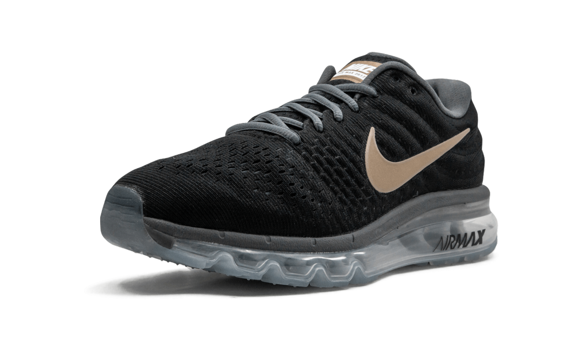 AIR MAX 2017 MNS WMNS "Bronze" 849560 008