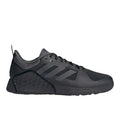 Dropset 2 Training Shoes