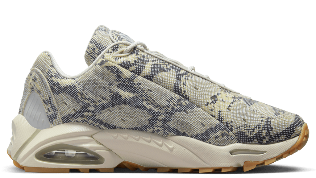 Hot Step Air Terra Drake NOCTA Snakeskin