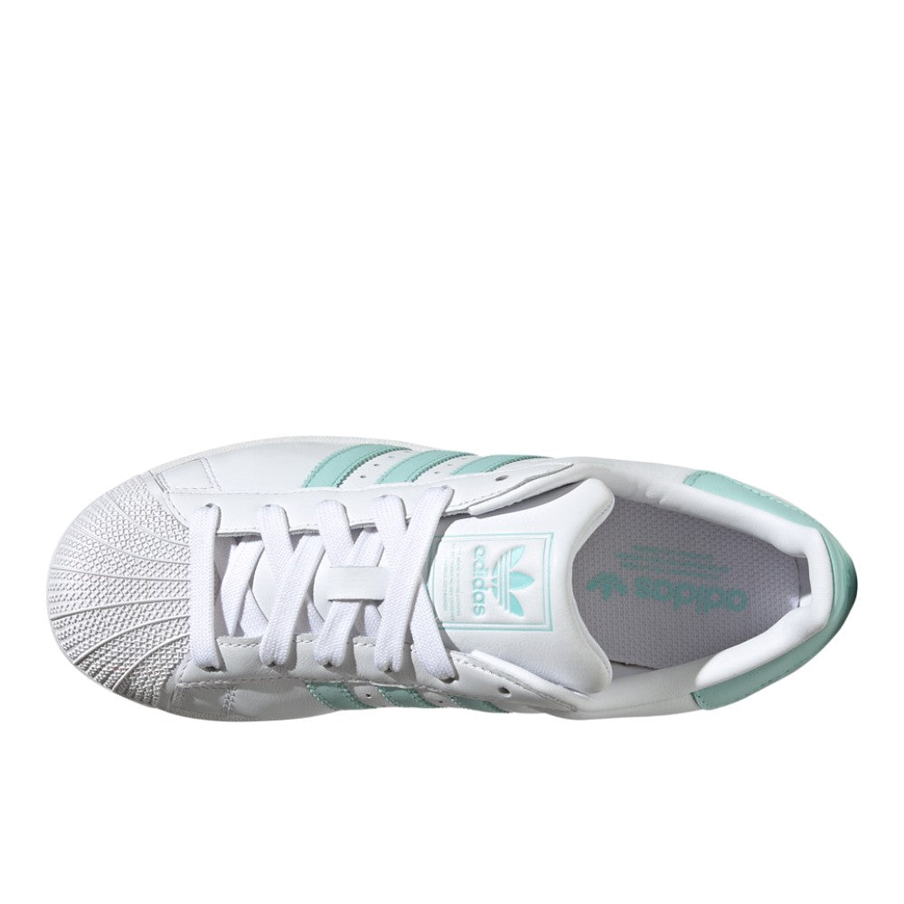 Superstar II Lace Up Sneakers