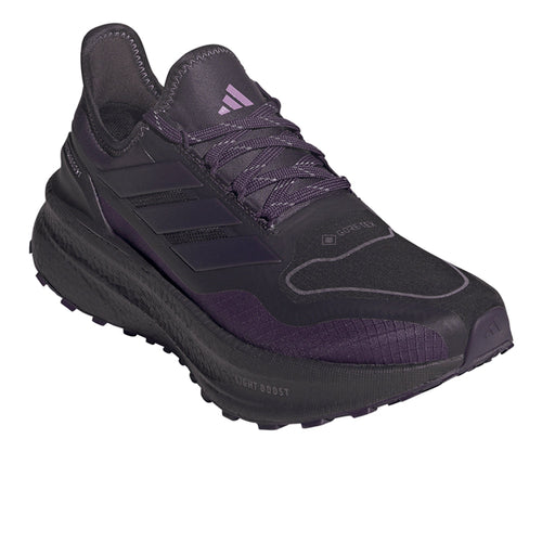 Ultraboost 5 Gore-Tex Running Shoes