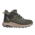Terrex Anylander Hiking Shoes