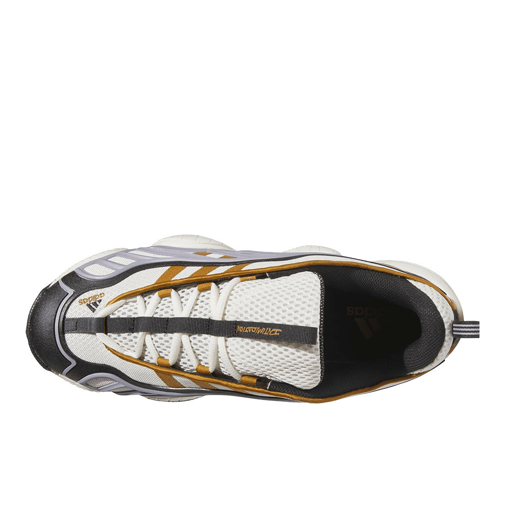 Intimidation Low Lace Up Sneakers