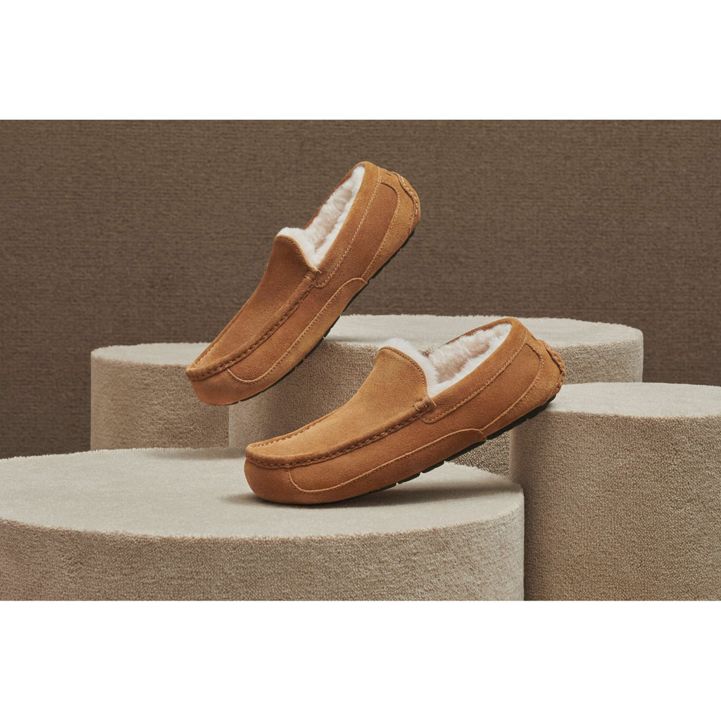 Men's Ascot Slipper in Chestnut