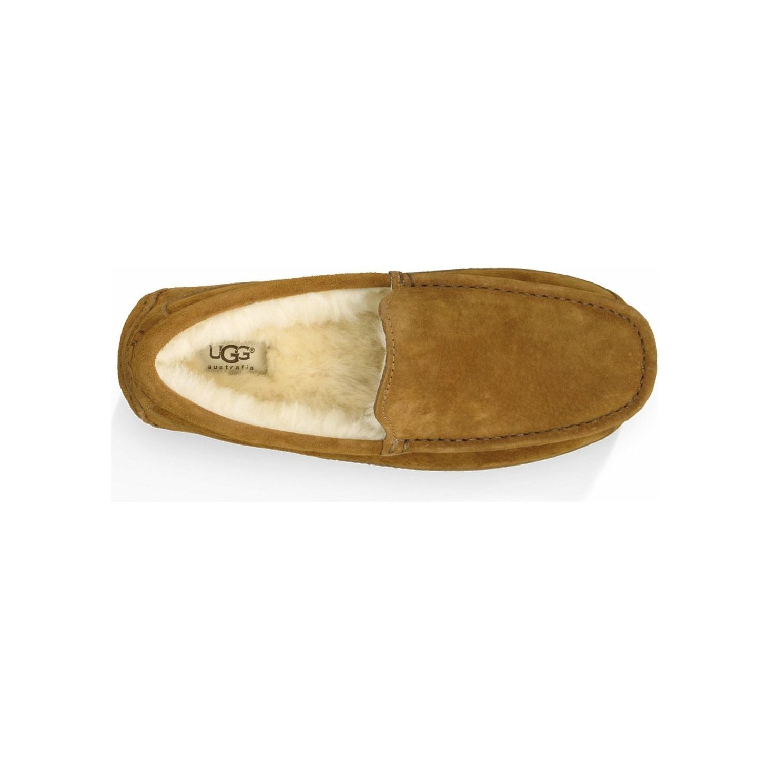 Men's Ascot Slipper in Chestnut