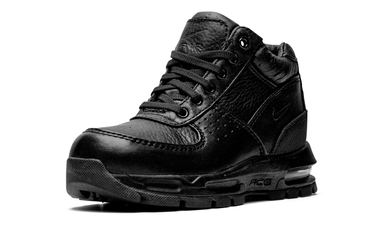 Air Max Goadome PS 311568 001
