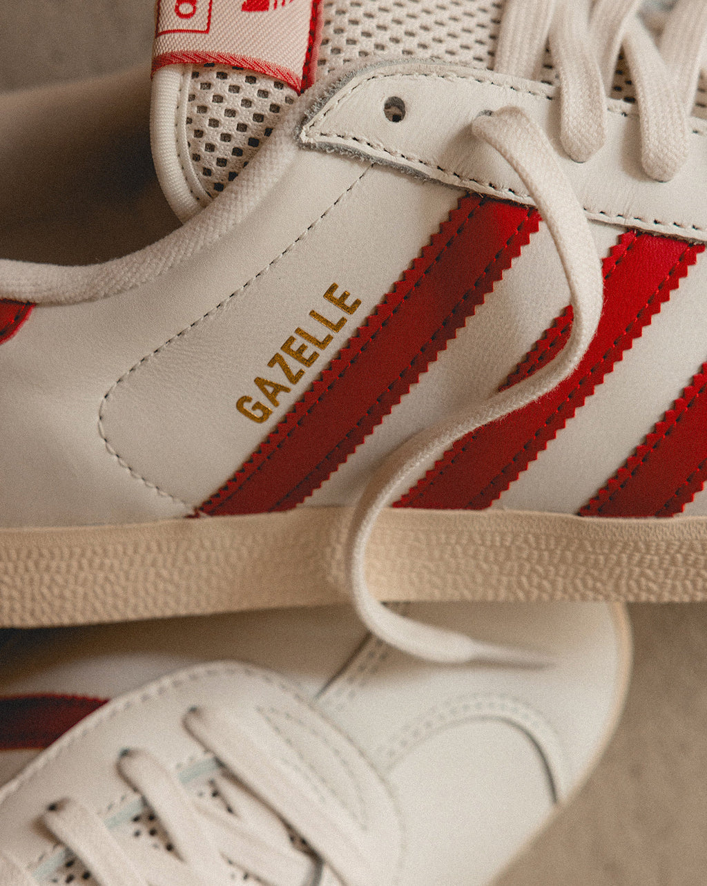 Gazelle